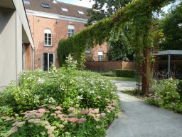parel der voorkempen - 2024 - marijke b_99